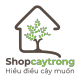 Shopcaytrong - Hiểu điều cây muốn