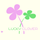 ※ Lucky Store   1