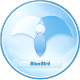 BLUE BIRD99