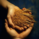 SeedMystique