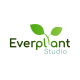 เอเวอร์แพลนท์