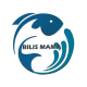 BilisMama Shop