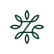 Zinus