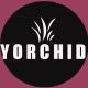 YORCHID