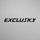 Exclusky Helmets Factory Store
