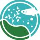 rasbora ecosystem
