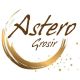 AsteroGrosir