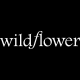 Wildflower Cases SG
