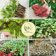 RK Garden Shop