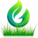 Market Grass