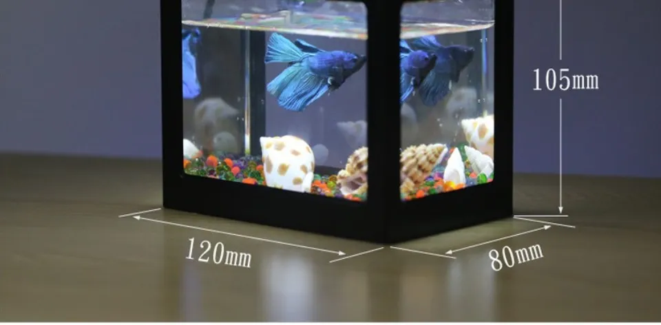 Seanfly【COD】Mini Aquarium Fish Box With USB + LEDLight.Mini