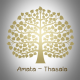 AMT Online Shop