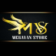 MegaVanStore