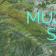 muzhaffar_store