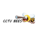 CCTVBEES