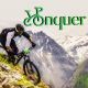 conquer
