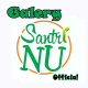 Galery Santri NU