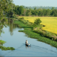 Treesmax.Asia