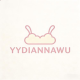 YYDIANNAWU