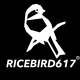 Ricebird617