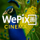 WePix Cinema® OEM Verified Store