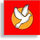 Aurora22