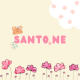 Santo.Ne