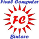 Finel Computer