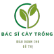 BácSĩCâyTrồngVT