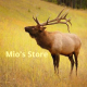 Mio's store
