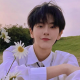 Rambut palsu Maxdale