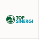 Top Sinergi