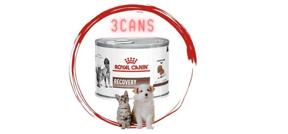 3 CANS X Royal Canin Recovery Cat Dog Wet can Food 195gm