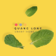 SMARTHOME QUANGLONG