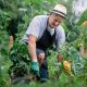 Enjoy Gardening