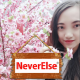 NeverElse