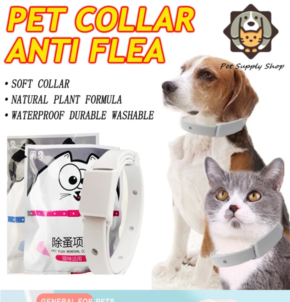 Anti flea collar for cats best sale