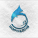 Dolphin Tablet Store