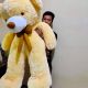 Pandutaric Toys