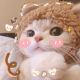 Cute_Baby