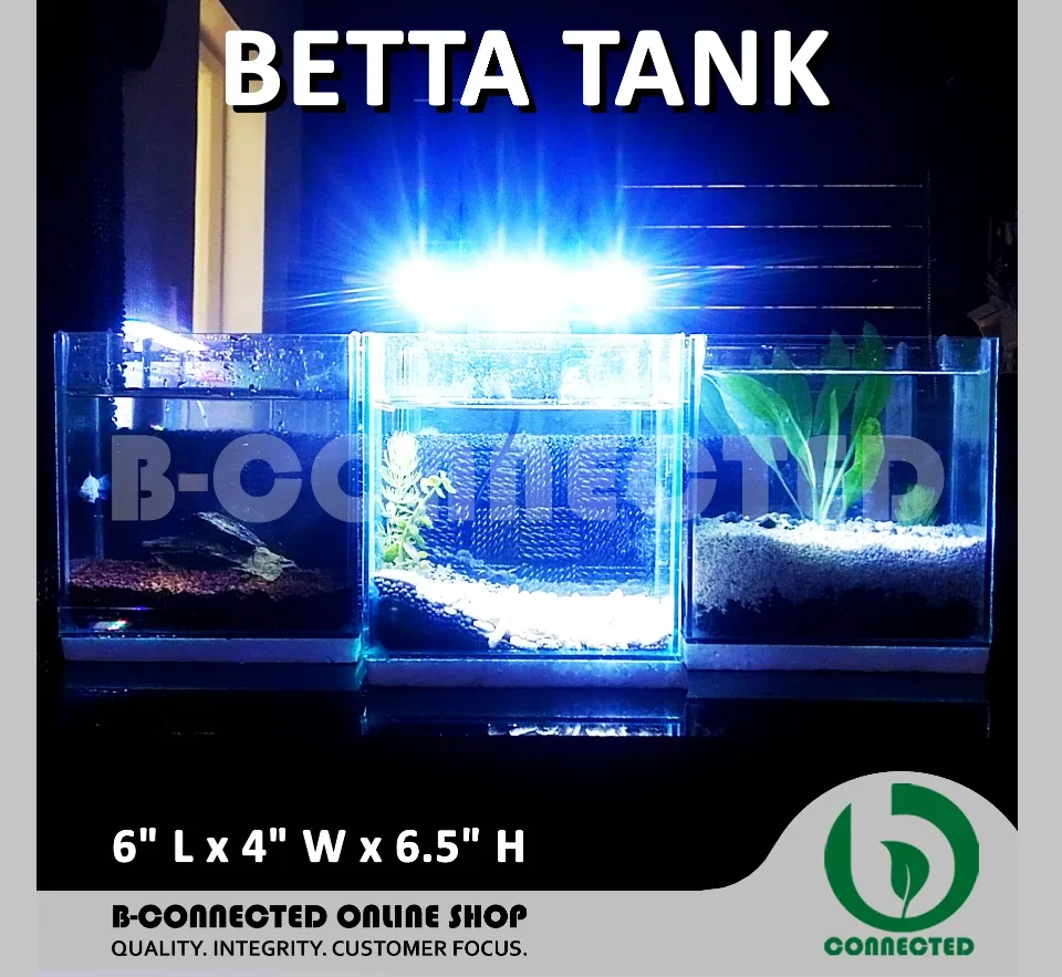 AQUARIUM FISH TANK 2.5 & 5 GALLON BY BCONNECTED / GLASS TANK WITH