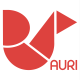 AURI_Custom
