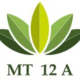 MT12