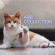 Arie collection