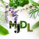 MJDL.PH