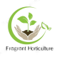 Fragrant Horticulture