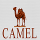 Cameljeans Official Store