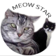 MEOW STAR STORE