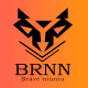 Brave Niuniu.Selection