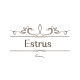 Estrus Fashion